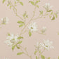 Marchwood Wallpaper - Shell Pink - Colefax & Fowler - 07976/10 - Premier Wallcovering