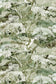 Matzu Tree Fabric - Sage Smirch - Timorous Beasties - DIGIP/MATZ/LU/02 - Premier Wallcovering