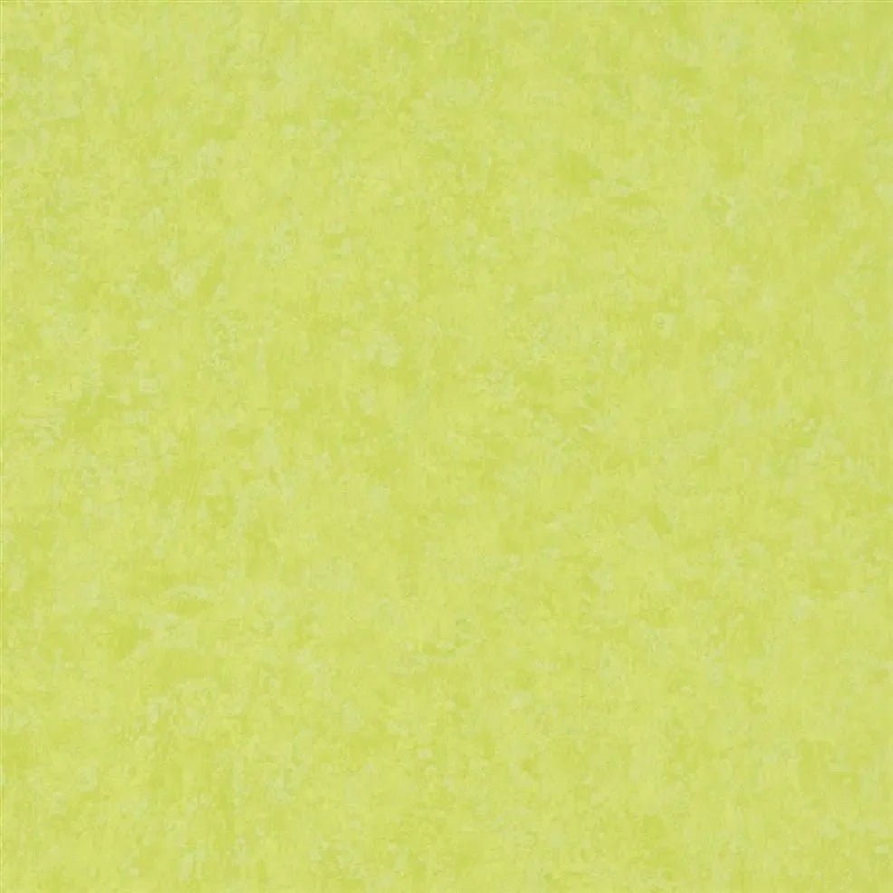Mayura Wallpaper - Lime - P575/14 - Designers Guild