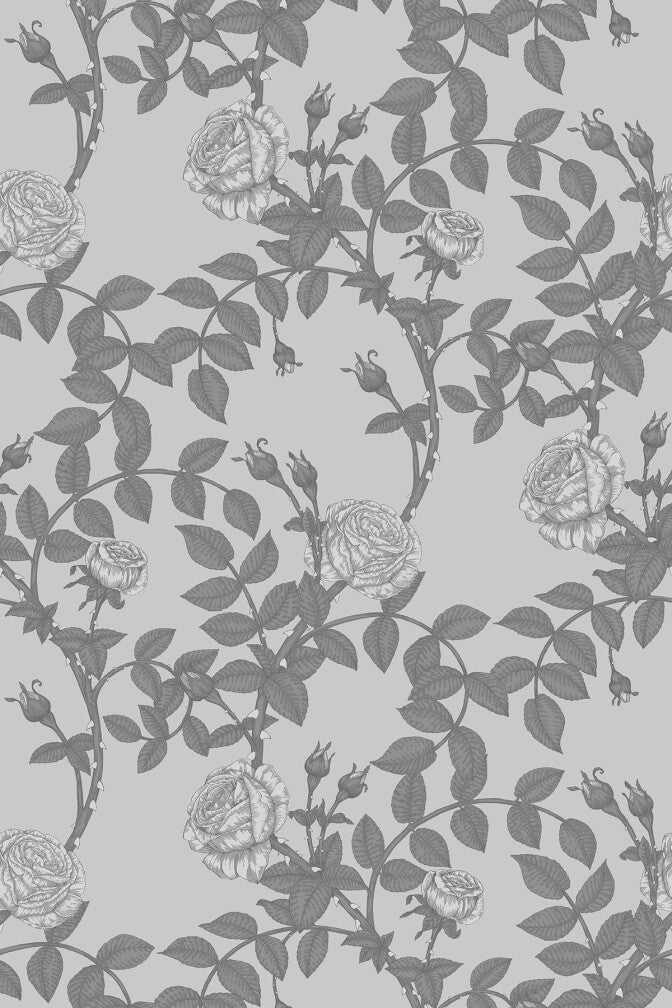 McGegan Rose Wallpaper - Grey - Timorous Beasties - HS/MCG/SMM/01 - Premier Wallcovering