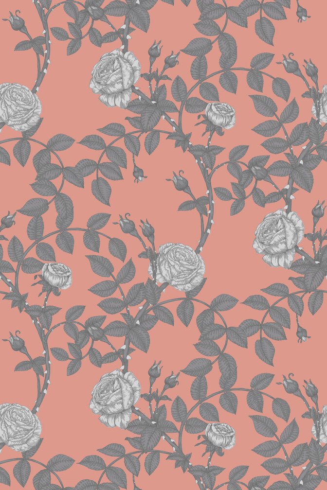 McGegan Rose Wallpaper - Greys on Blush - Timorous Beasties - HS/MCG/SMM/06 - Premier Wallcovering