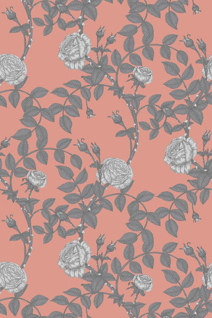 McGegan Rose Wallpaper - Greys on Blush - Timorous Beasties - HS/MCG/SMM/06 - Premier Wallcovering