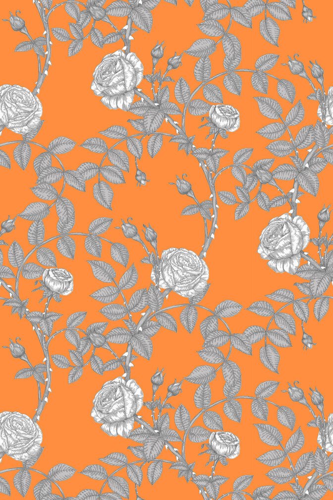 McGegan Rose Wallpaper - Greys on Orange - Timorous Beasties - HS/MCG/SMM/04 - Premier Wallcovering