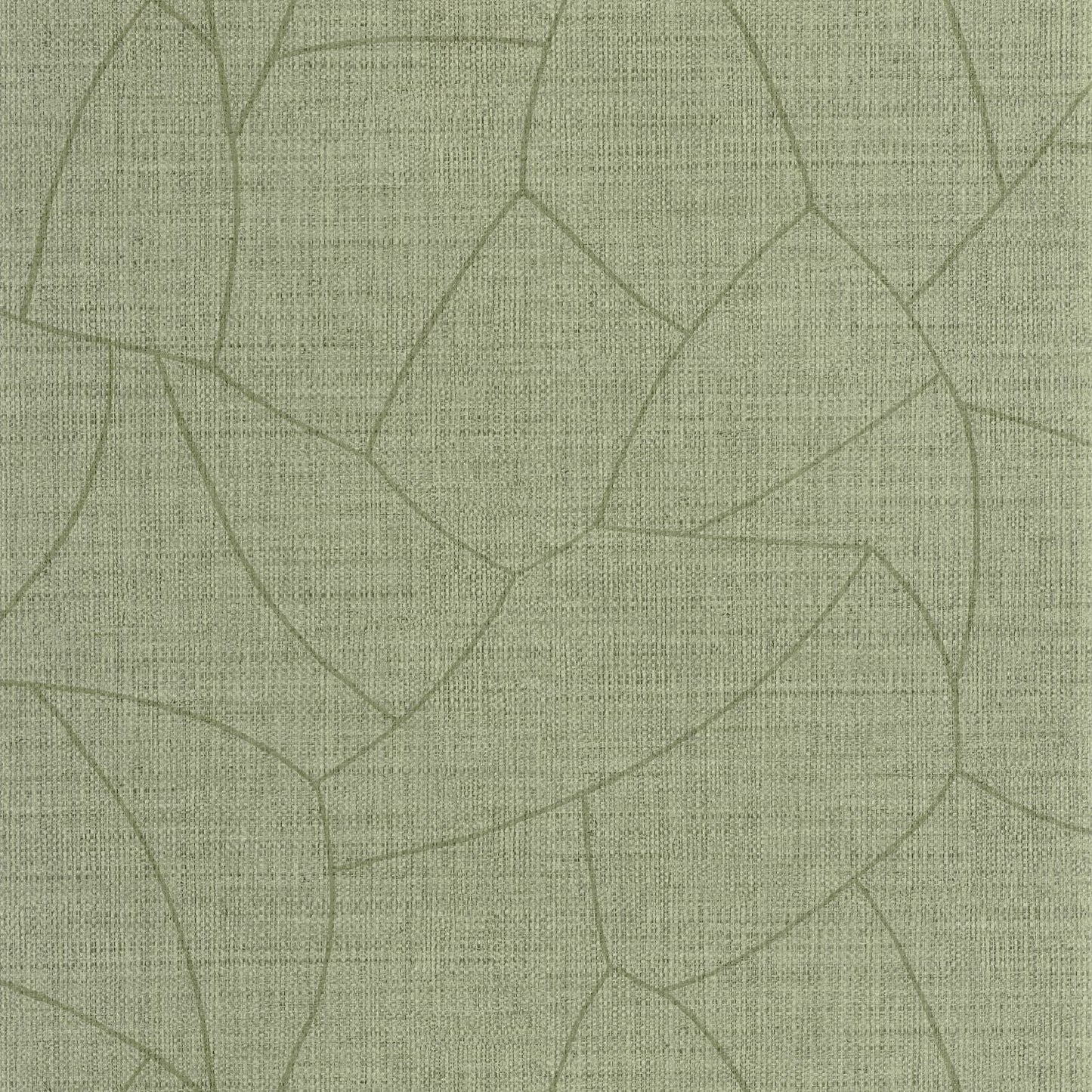 Melody Wallpaper - Avocat - Caselio - 107027745