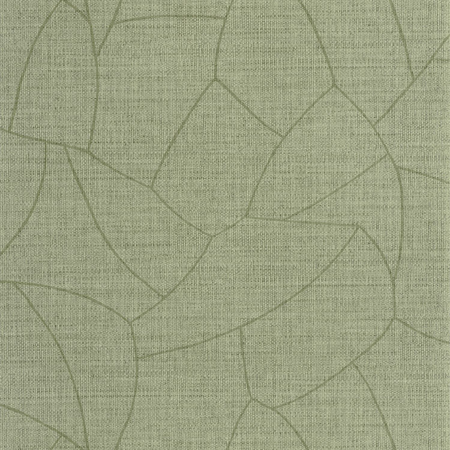 Melody Wallpaper - Avocat - Caselio - 107027745