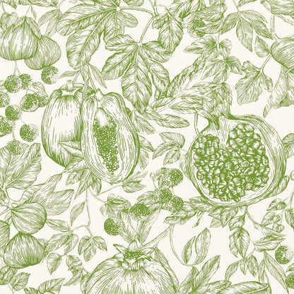 Melograno Wallpaper - Forest/First Light - HQN3112923 - Harlequin - Premier Wallcovering