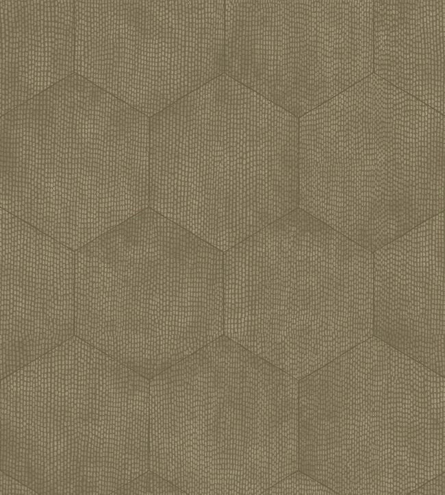 Mineral Wallpaper - Metallic Gilver on Dark Taupe - 107/6028 - Cole & Son - Premier Wallcovering