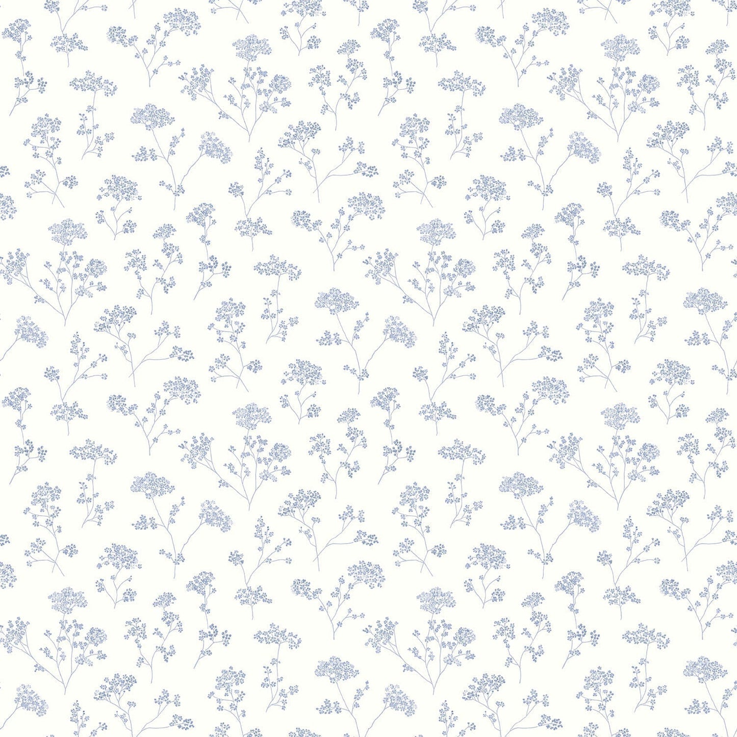 Miniatures 2 Parsley Flowers Wallpaper - Blue - Galerie - G67871 - Premier Wallcovering