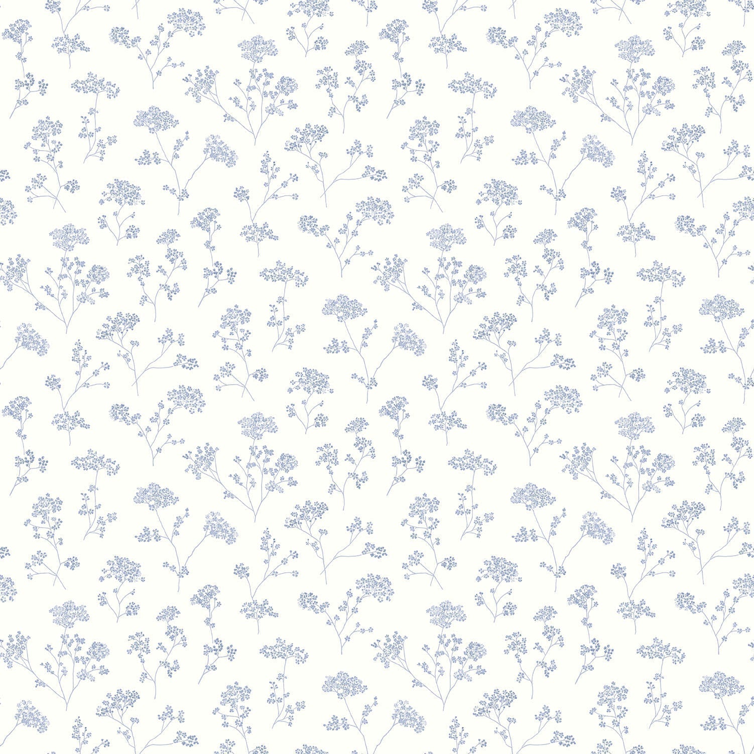 Miniatures 2 Parsley Flowers Wallpaper - Blue - Galerie - G67871 - Premier Wallcovering