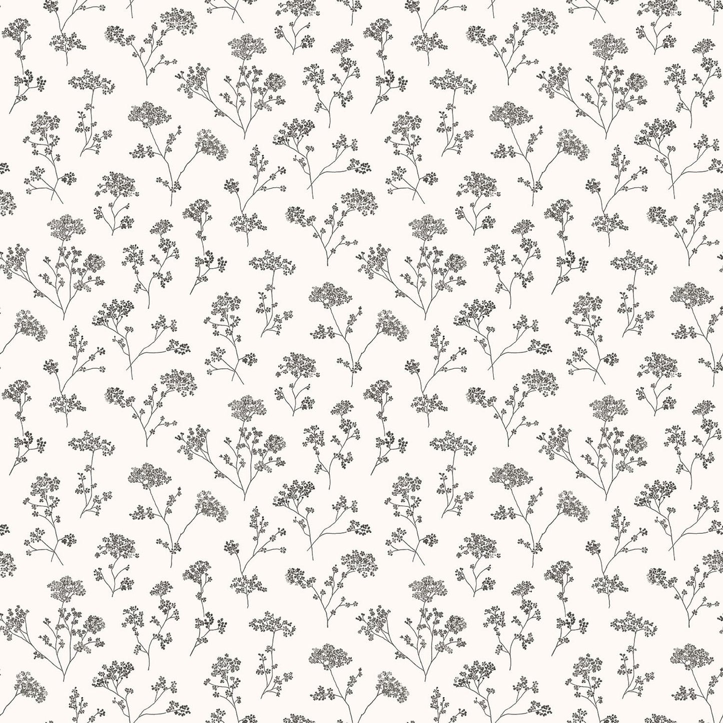 Miniatures 2 Parsley Flowers Wallpaper - Black - Galerie - G67870 - Premier Wallcovering