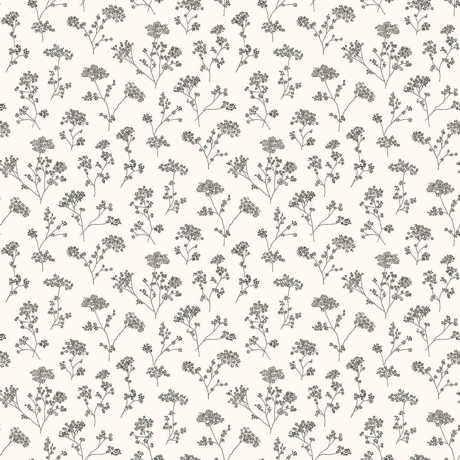 Miniatures 2 Parsley Flowers Wallpaper - Black - Galerie - G67870 - Premier Wallcovering