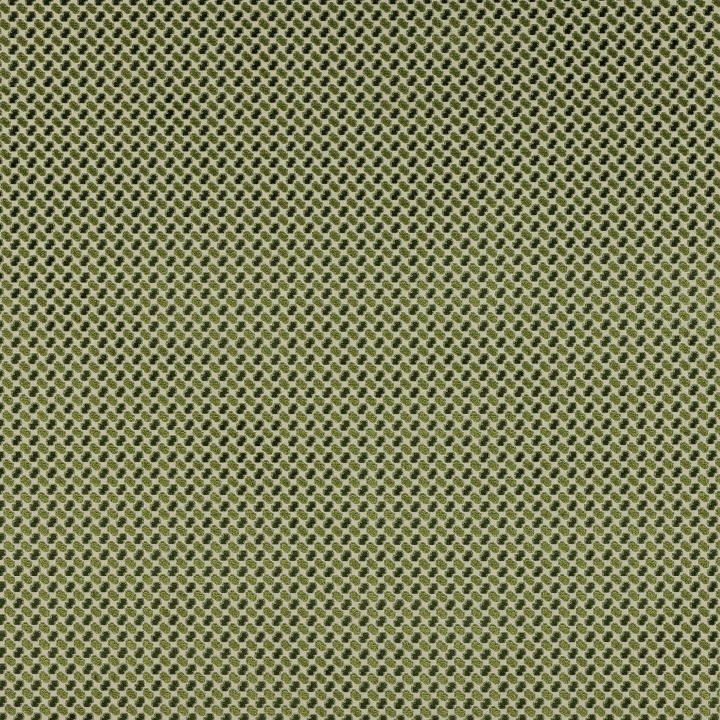 Minos Fabric - Foret - Manuel Canovas - M4149-06 - Premier Wallcovering