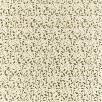 Mistletoe Embroidery Fabric - Artichoke - Morris & Co - 236816 - Premier Wallcovering