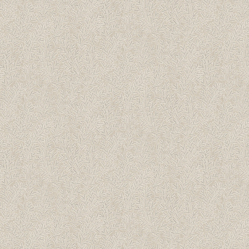 Molly´s Meadow Wallpaper - Beige/ Cream - Boråstapeter - 3570 - Premier Wallcovering
