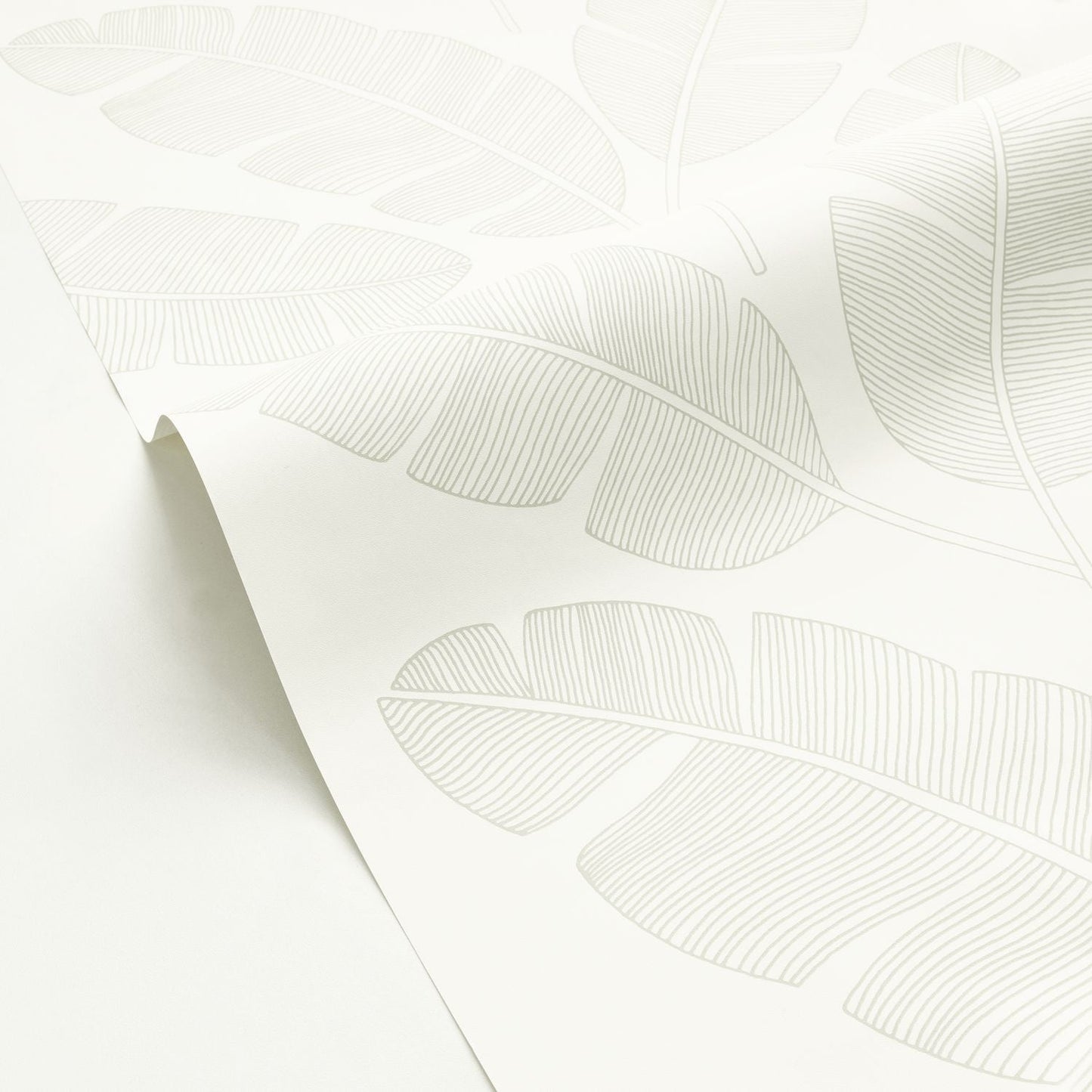 Moonlight Banana Tree Wallpaper - Vert Amande - Caselio - 101100723