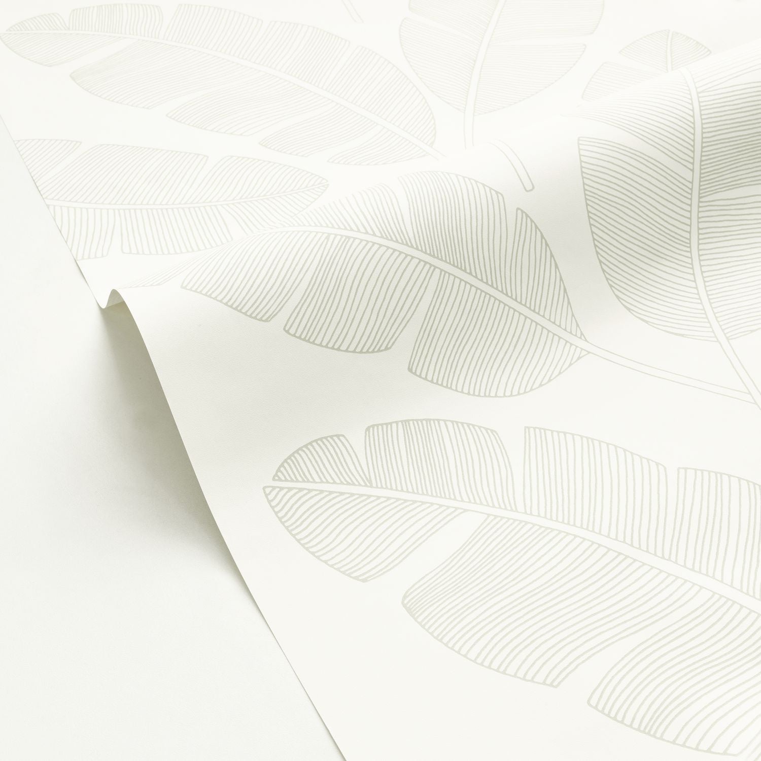 Moonlight Banana Tree Wallpaper - Vert Amande - Caselio - 101100723