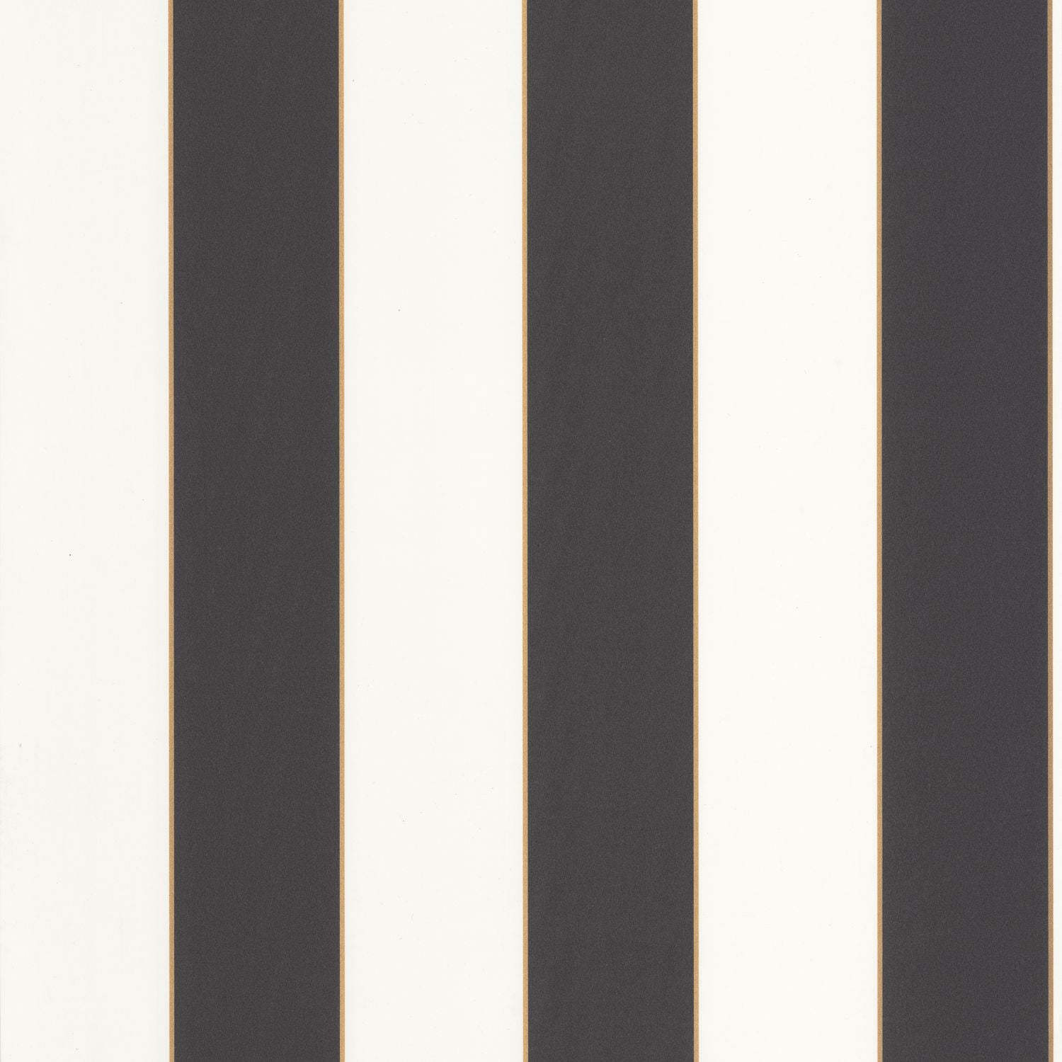 Moonlight Golden Lines Wallpaper - Noir - Caselio - 101072092