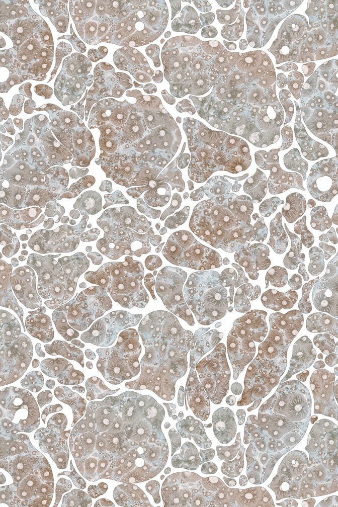 Moonrock Cork Wallpaper - Waning Crescent - Timorous Beasties - DWN/MNRK/WSCF/04 - Premier Wallcovering