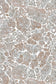 Moonrock Cork Wallpaper - Waning Crescent - Timorous Beasties - DWN/MNRK/WSCF/04 - Premier Wallcovering