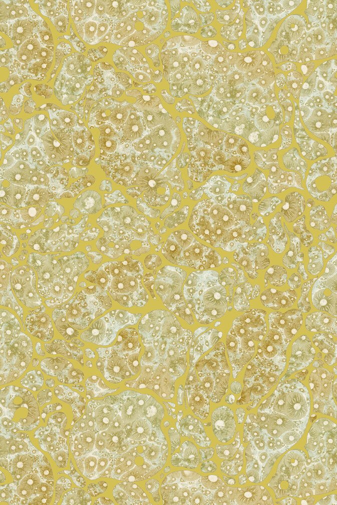 Moonrock Cork Wallpaper - Citrine - Timorous Beasties - DWN/MNRK/WSCF/02 - Premier Wallcovering