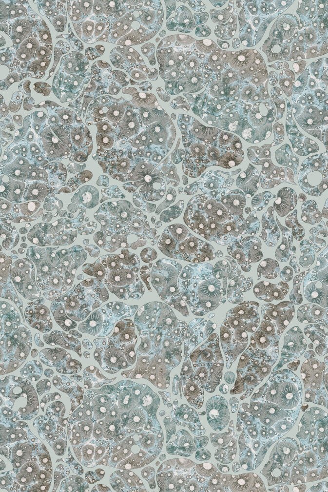 Moonrock Cork Wallpaper - Lunar Dust - Timorous Beasties - DWN/MNRK/WSCF/03 - Premier Wallcovering
