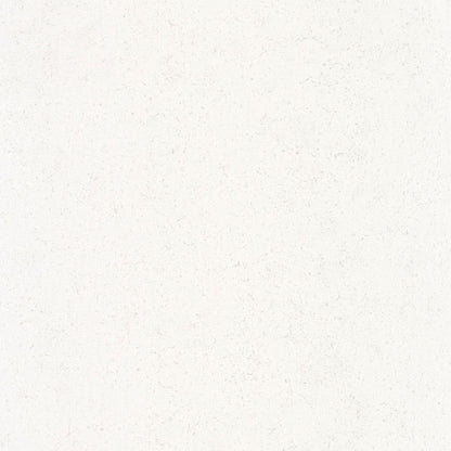 Mur A La Chaux Minerals Wallpaper - Blanc Albatre - Casadeco - 88090101 - Premier Wallcovering