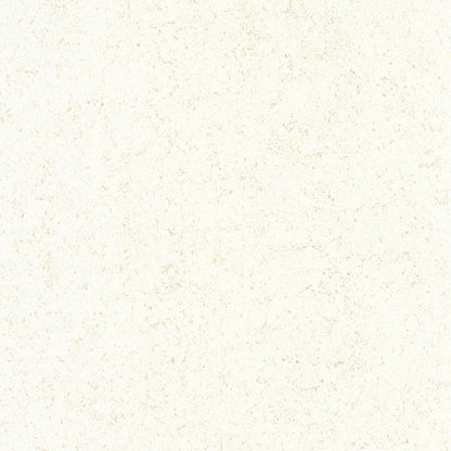 Mur A La Chaux Minerals Wallpaper - Blanc Nacre - Casadeco - 88090220 - Premier Wallcovering