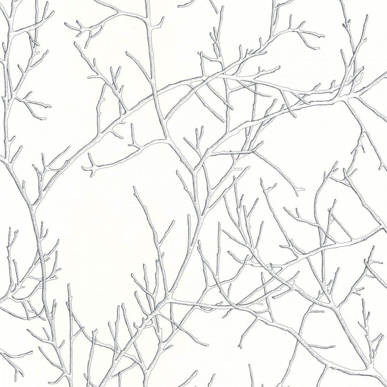 Mythe Voyage Onirique Wallpaper - Noir Gravure - Casadeco - 87269062 - Premier Wallcovering