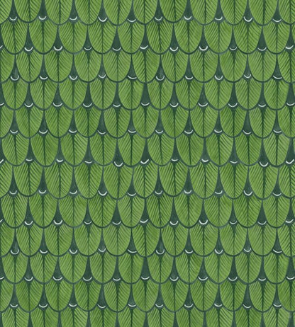Narina Wallpaper - Leaf Green - 109/10045 - Cole & Son - Premier Wallcovering