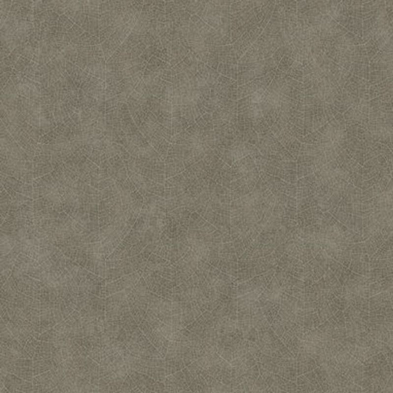 Nervure Noisetier Woods Wallpaper - Noir - Casadeco - 26219128 - Premier Wallcovering