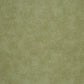 Nervure Riverside Wallpaper - Green - Casadeco - 26217120 - Premier Wallcovering