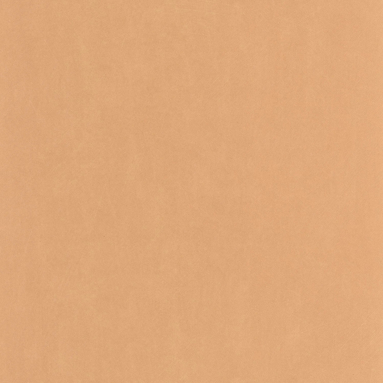 Nest Wallpaper - Abricot - Casadeco - 201003232 - Premier Wallcovering