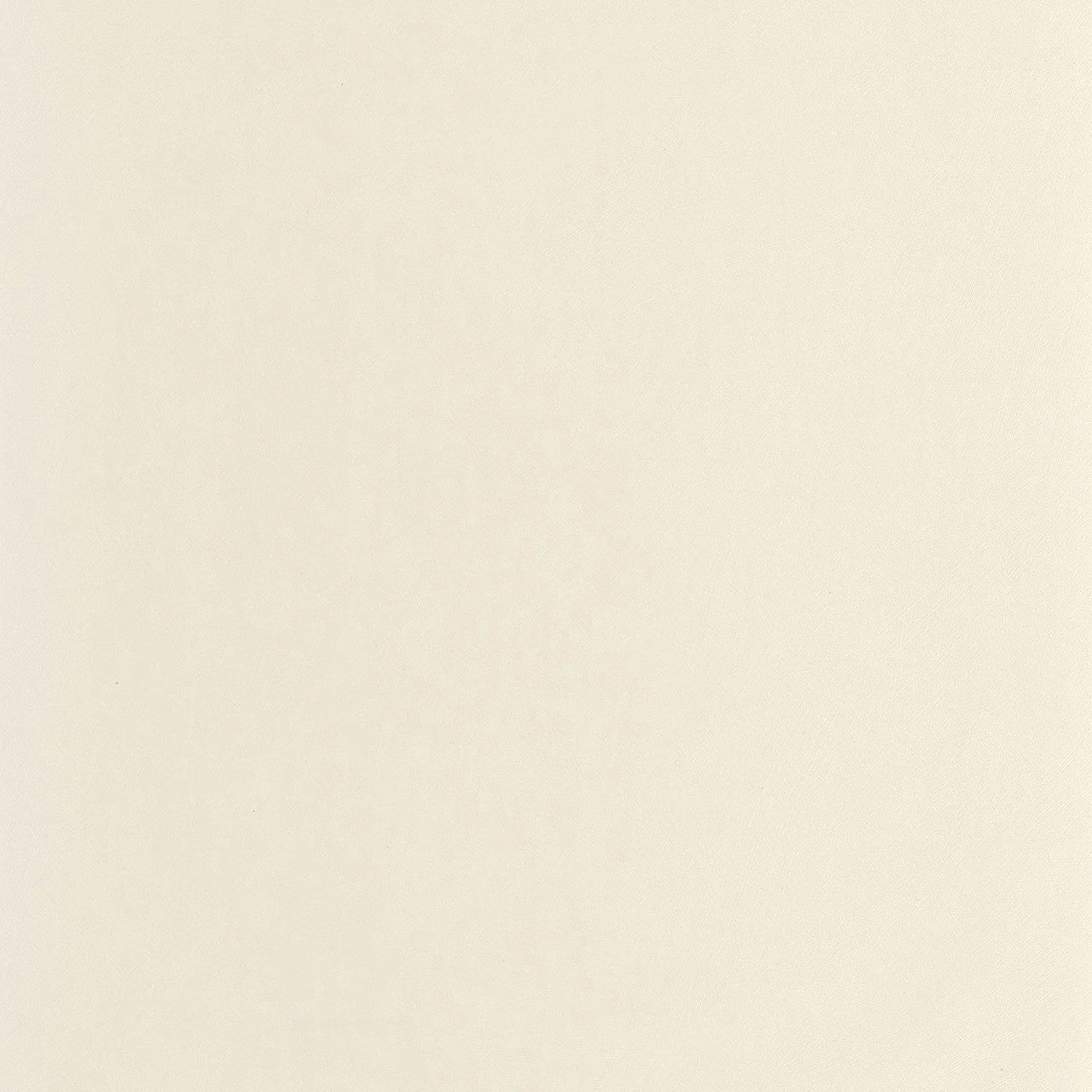 Nest Wallpaper - Beige Pierre - Casadeco - 201001010 - Premier Wallcovering