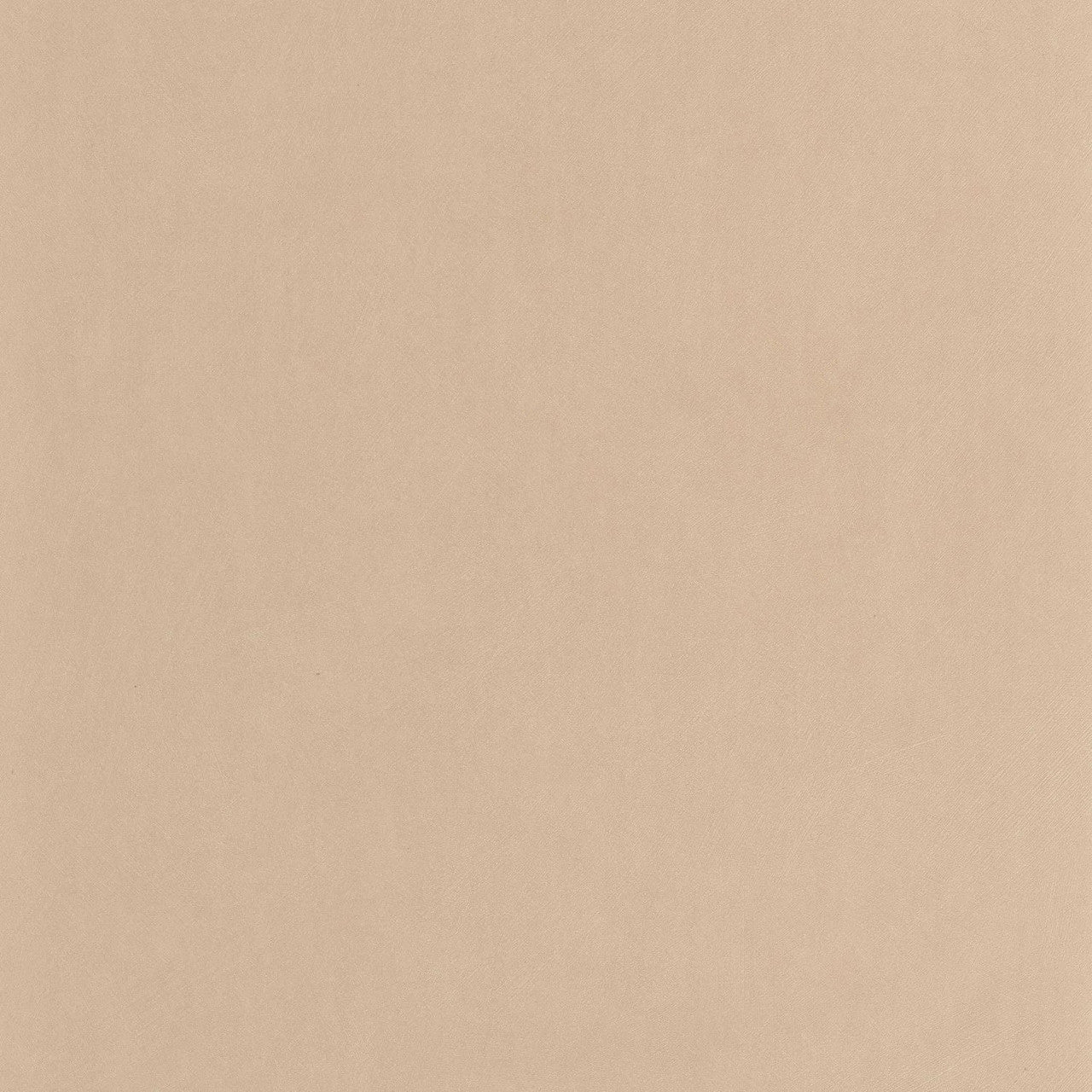 Nest Wallpaper - Beige Desert - Casadeco - 201004334 - Premier Wallcovering