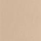 Nest Wallpaper - Beige Desert - Casadeco - 201004334 - Premier Wallcovering