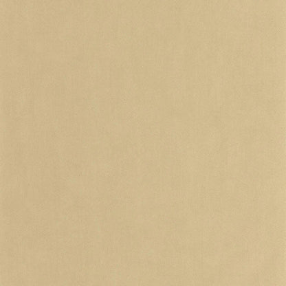 Nest Wallpaper - Beige Chamois - Casadeco - 201001616 - Premier Wallcovering