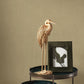 Nest Wallpaper - Beige Ficelle - Casadeco - 201002662 - Premier Wallcovering