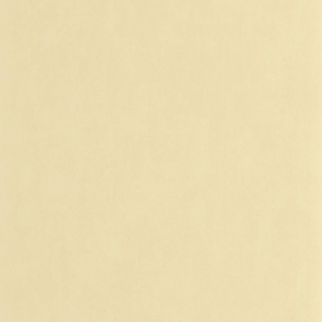 Nest Wallpaper - Beige Sable - Casadeco - 201001515 - Premier Wallcovering