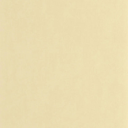 Nest Wallpaper - Beige Sable - Casadeco - 201001515 - Premier Wallcovering