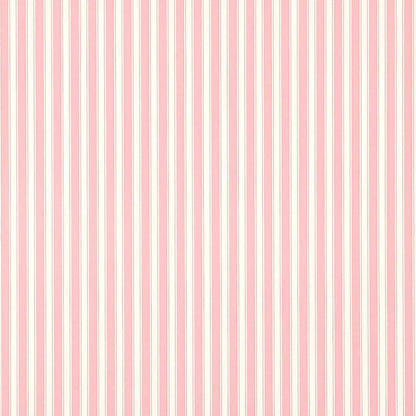 New Tiger Stripe Wallpaper - Rose/Ivory - DCAVTP101 - Sanderson