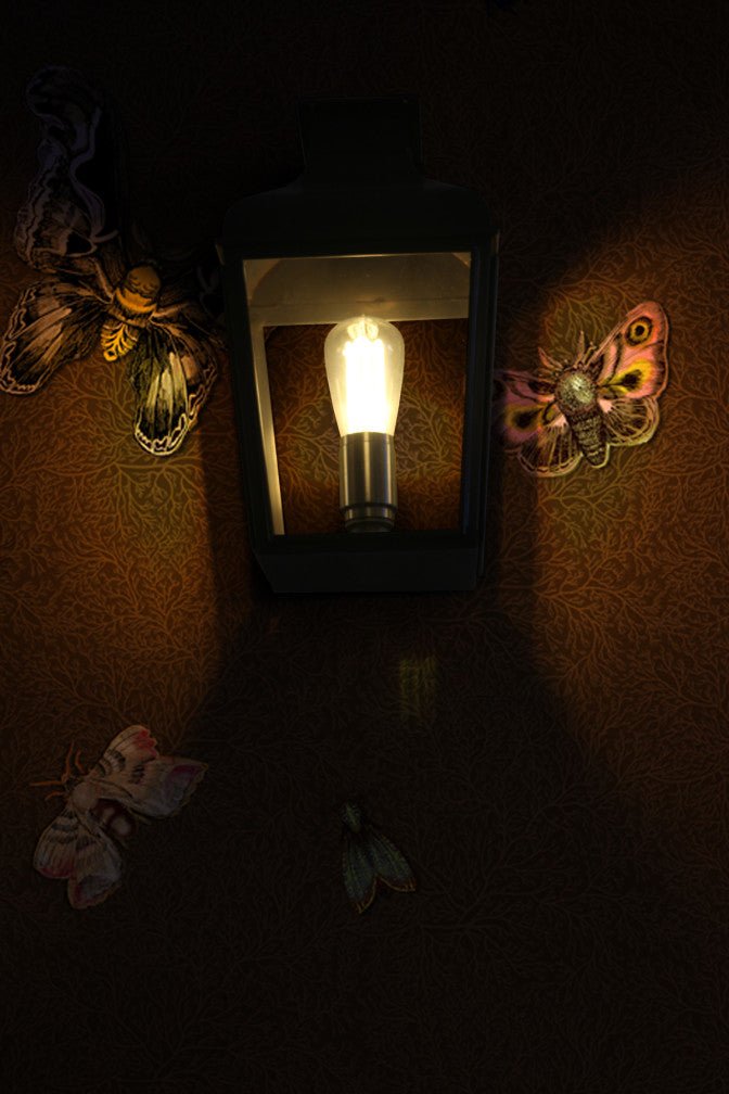 Nightcrawlers Wallpaper - Chestnut - Timorous Beasties - RUS/NCR/MATT/04 - Premier Wallcovering