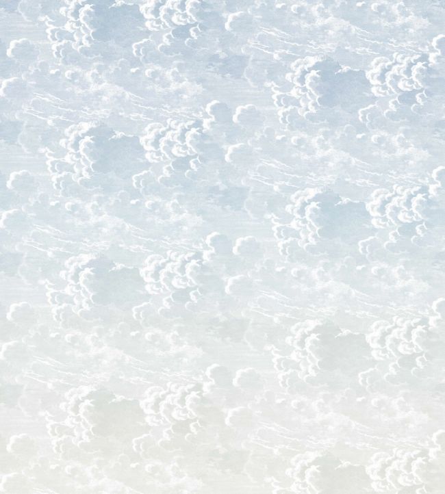 Nuvole Al Tramonto Wallpaper - Dawn - 114/3006 - Cole & Son - Premier Wallcovering