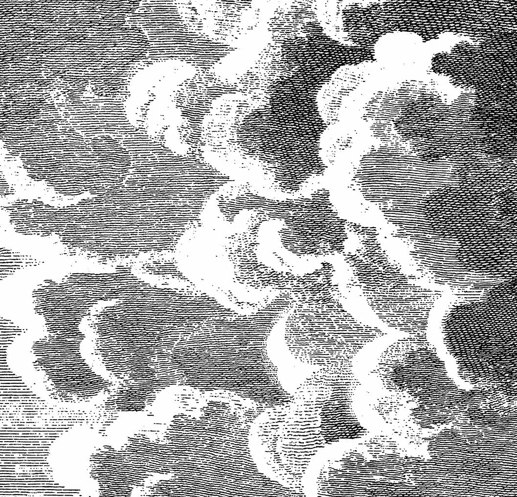 Nuvole Wallpaper - Black & White - 114/29058 - Cole & Son - Premier Wallcovering