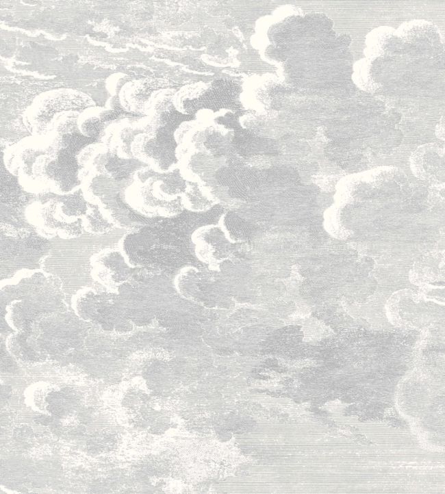 Nuvolette Wallpaper - Soot & Snow - 114/28055 - Cole & Son - Premier Wallcovering