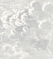 Nuvolette Wallpaper - Soot & Snow - 114/28055 - Cole & Son - Premier Wallcovering