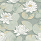 Nymphea Gardens Wallpaper - Vert Sauge - Casadeco - 87637360 - Premier Wallcovering