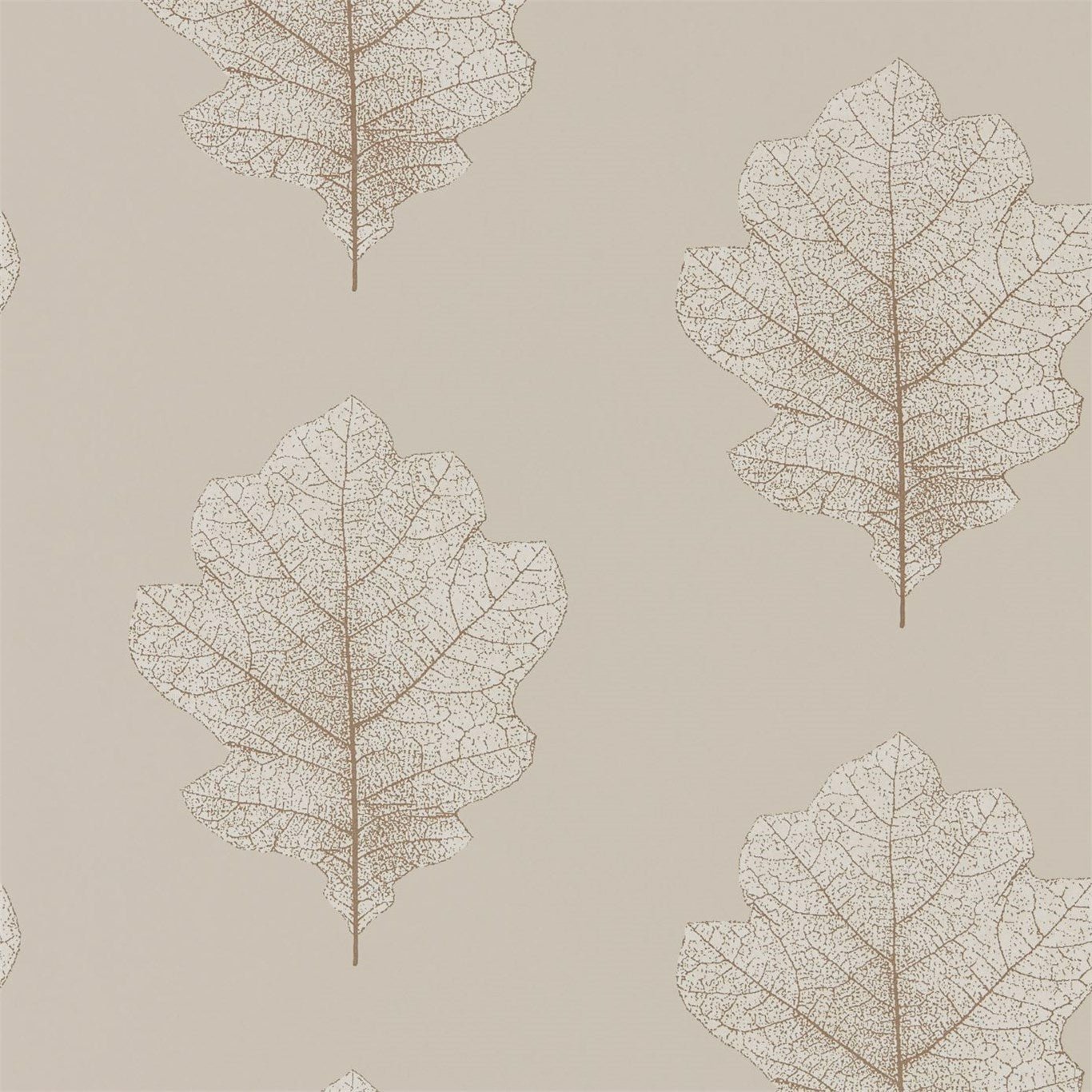 Oak Filigree Wallpaper - Stone/Gilver - Sanderson - DWOW215698