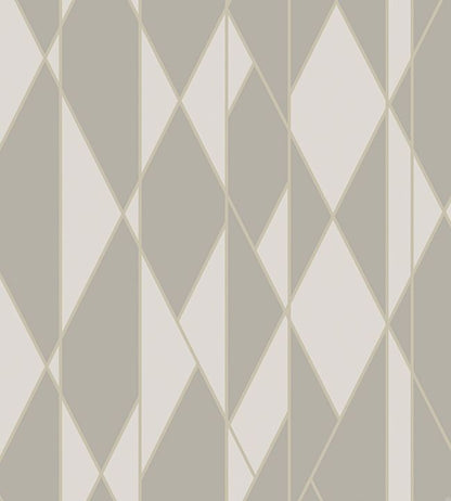 Oblique Wallpaper - Taupe & Metallic Silver - 105/11046 - Cole & Son - Premier Wallcovering