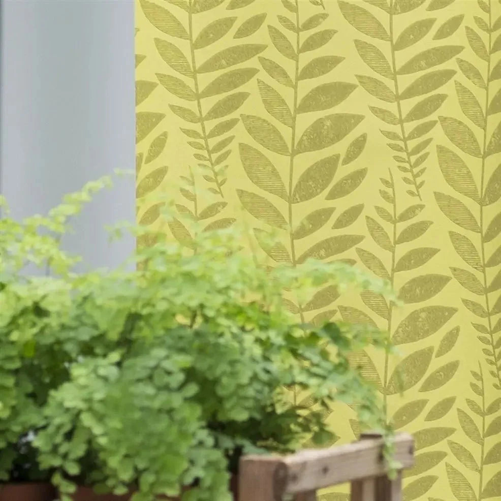 Odhni Wallpaper - Moss - P627/04 - Designers Guild