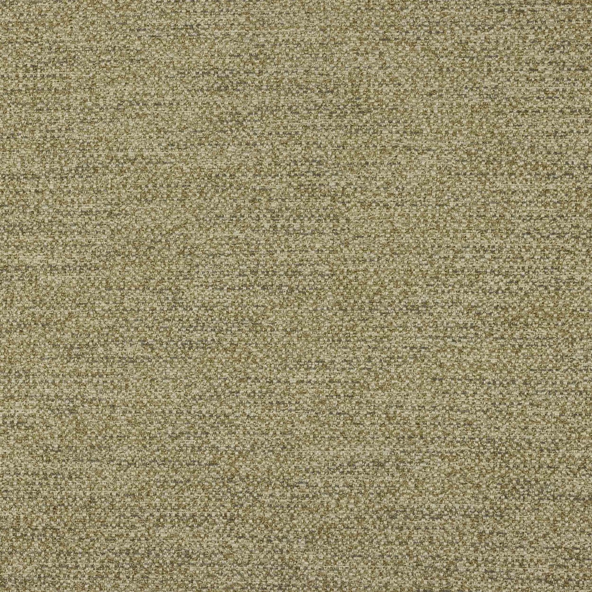 Odin Fabric - Noisette - Manuel Canovas - M4133-03 - Premier Wallcovering